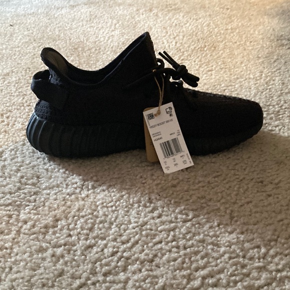 Yeezy boost 350 v2